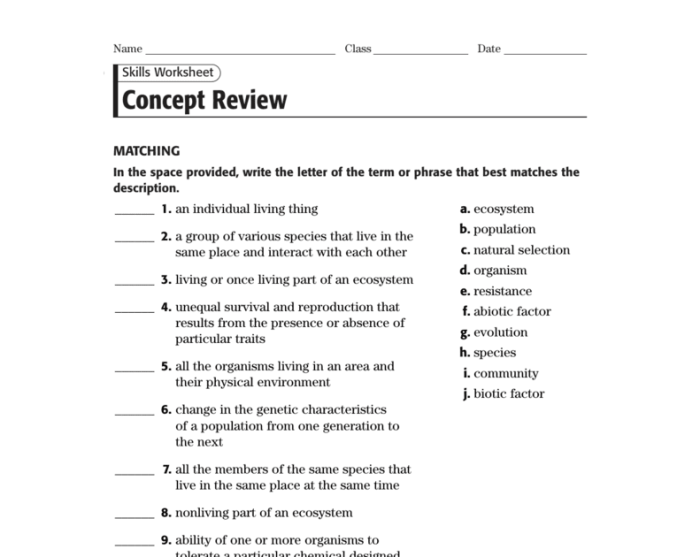 Super size me answer key