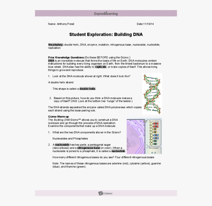 Genetic engineering gizmo answer key