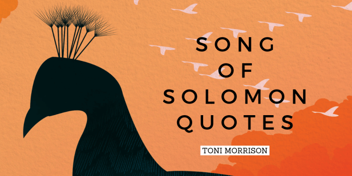 Song of solomon quotes toni morrison