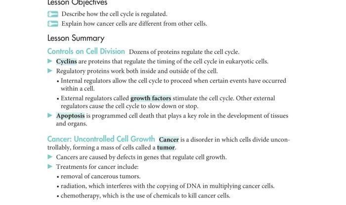 Cell cycle regulation pogil answers pdf