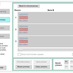 Genetic engineering gizmo answer key