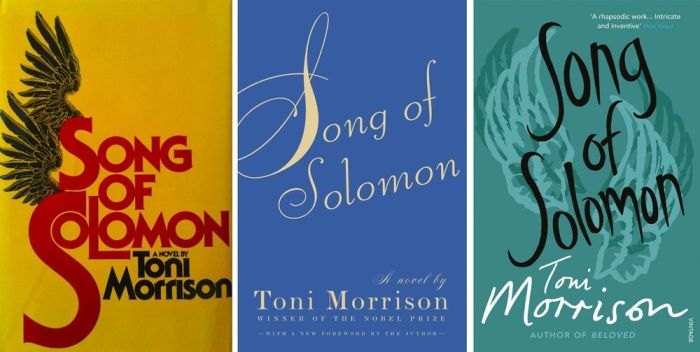 Song of solomon quotes toni morrison